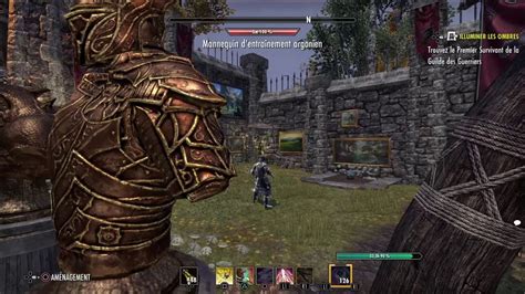 eso stamplar|eso stamplar pve dps build.